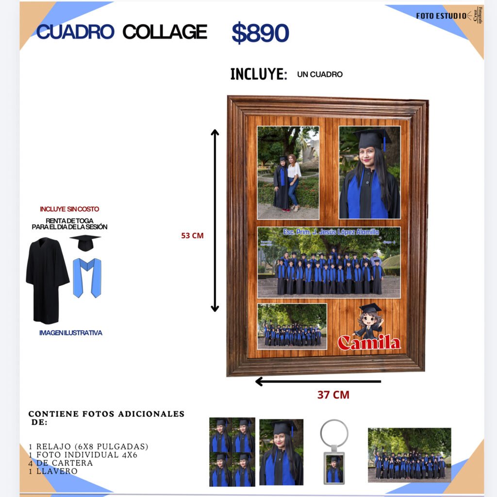 CUADRO COLLAGE $890