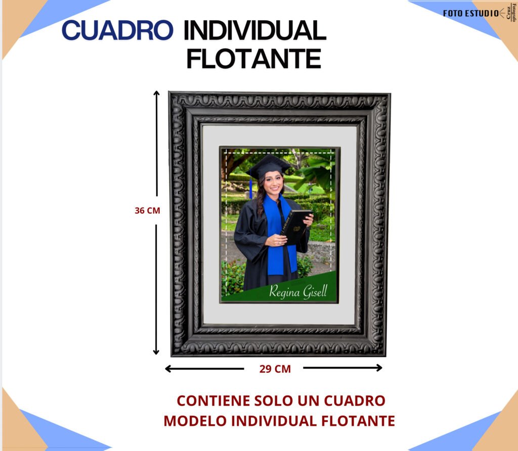 CUADRO INDIVIDUAL FLOTANTE $650