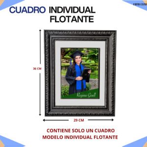 CUADRO INDIVIDUAL FLOTANTE $650