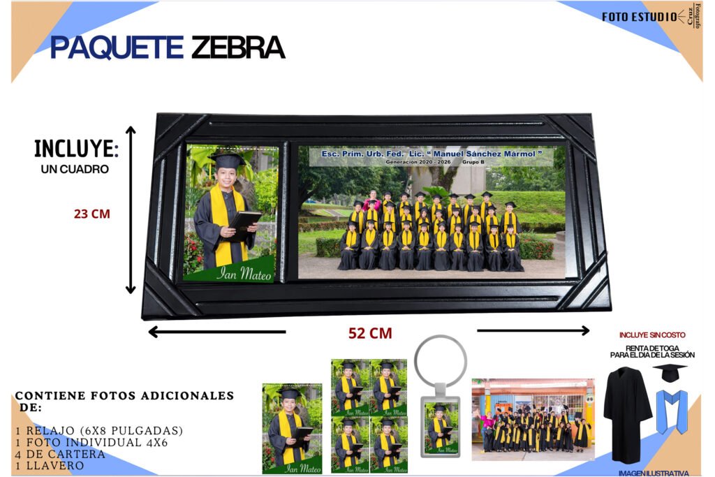 CUADRO ZEBRA  $740